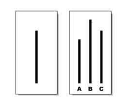 Two boxes, one with a single vertical black line, the other with three vertical lines of different sizes with "A, B, and, C" written under them.