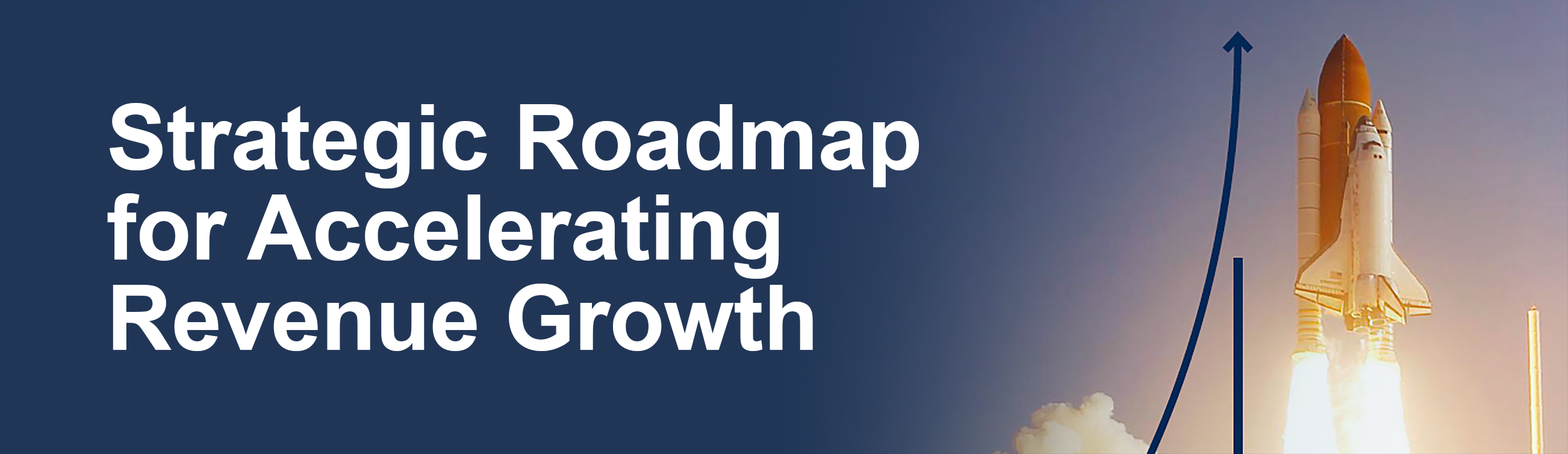 Strategic Roadmap for Accelerating Revenue Growth