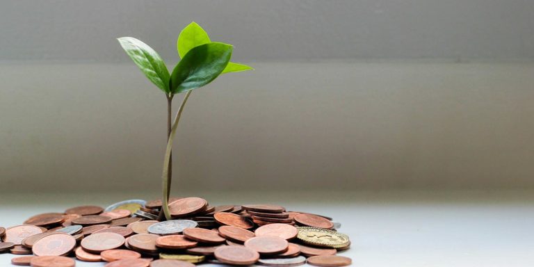 A small plant with pennies underneath it.